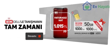 1787297211167.webp