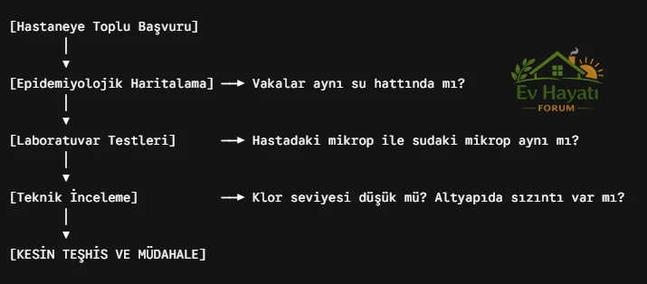 1780416035981.webp